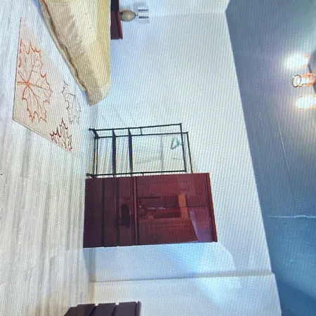 Ionescu Apartament Apartman *